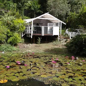 eumundi-yacht-club-bb.queenslandhotels.net/